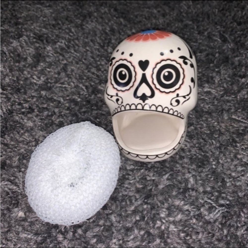 Halloween Day of The Dead Dia De Muertos Sponge Kitchen Decor